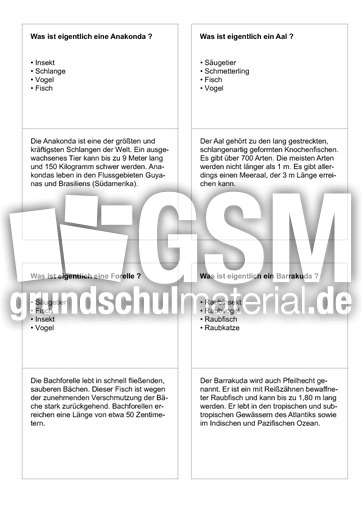 Tiernamen 31.pdf